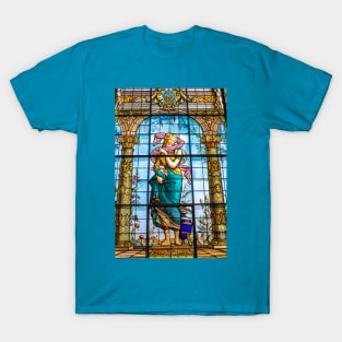 Mexico. Mexico City. Chapultepec Castle. Window. T-Shirt